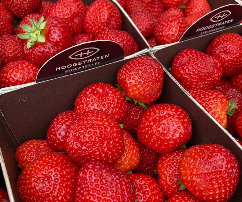 fraise