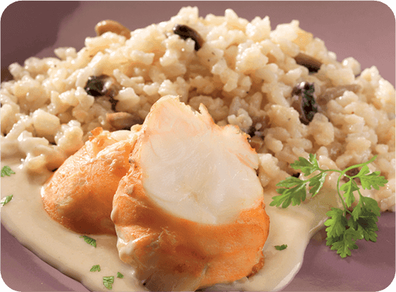 Traiteur : Plats cuisinés